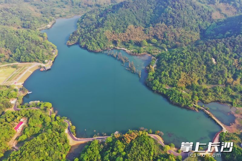 象鼻窩森林公園正有序推進(jìn)林相改造施工。 湘江新區(qū)供圖