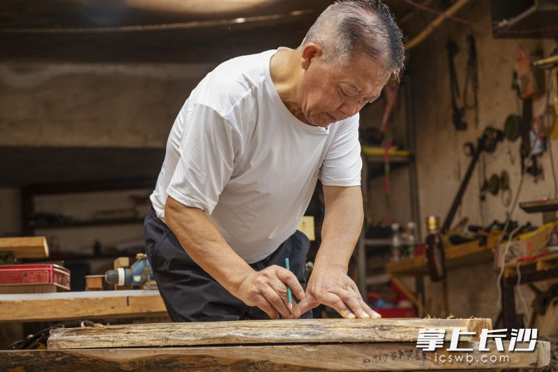 桑木是最常用的制弩原材料，姚茂炎在工作室旁邊的空地存了一批陰干的木料,。