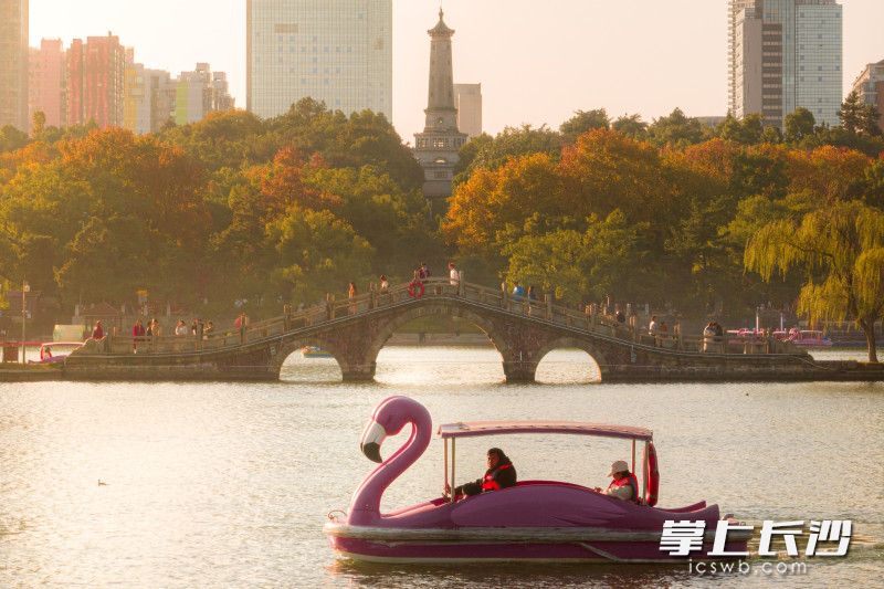 遠處是湖南烈士公園紀(jì)念碑,，近處年嘉湖上人們乘著天鵝船泛舟而游，烈士公園內(nèi)十分熱鬧,。均為長沙晚報全媒體記者 劉曉敏 攝