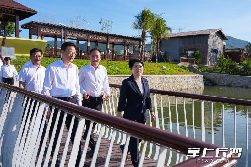 三亞市吉陽(yáng)區(qū)博后村考察現(xiàn)場(chǎng),。