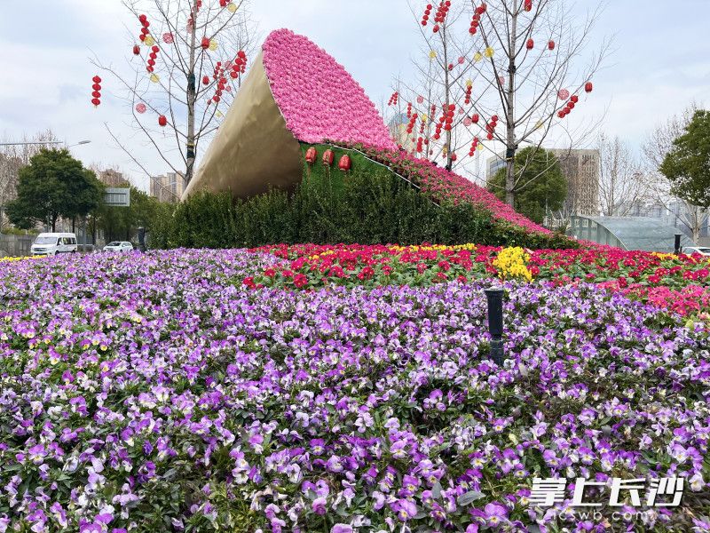 杜花路口“芙蓉國(guó)里盡朝暉”主題花束造型花雕。