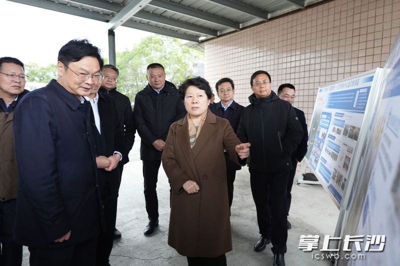 吳桂英調(diào)研長沙奧體中心項目規(guī)劃建設(shè)情況。