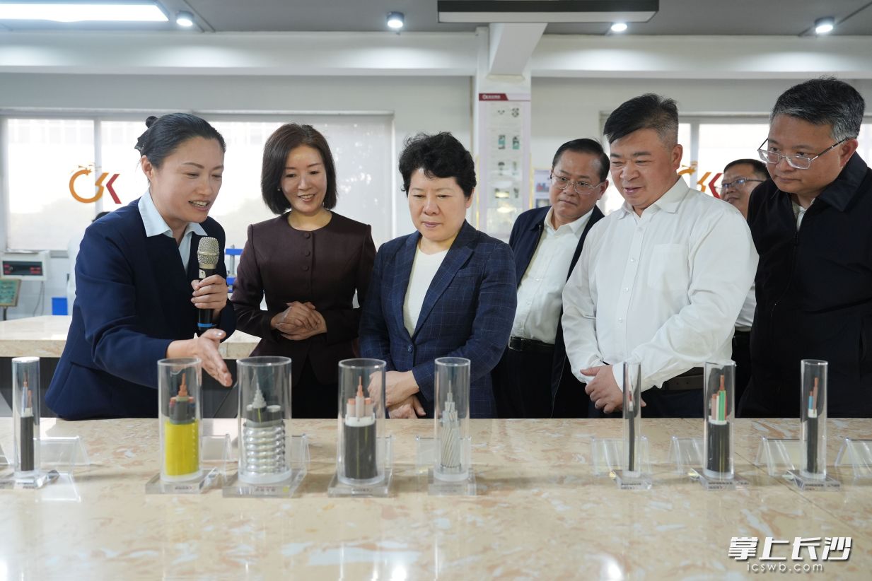 湖南金龍科技集團(tuán)有限公司調(diào)研現(xiàn)場,。