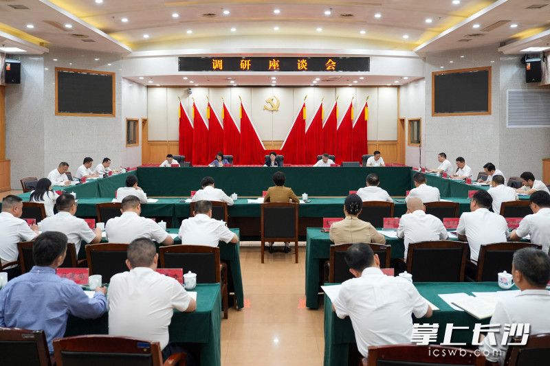 調(diào)研座談會現(xiàn)場,。均為長沙晚報全媒體記者 郭雨滴 攝