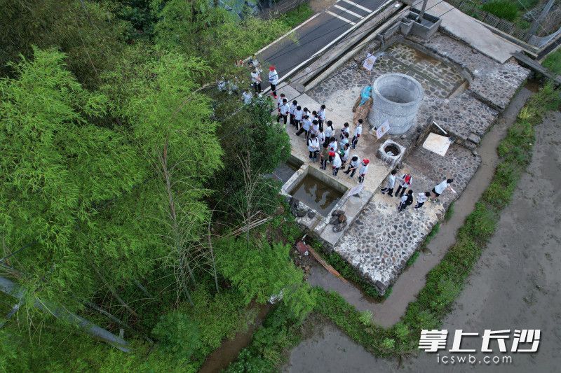 在造紙?jiān)牧系奶幚砜臻g——楻場(chǎng),，觀察觸摸感受從剛長出枝丫的嫩竹到細(xì)膩的竹纖維，學(xué)生們解密一根竹子如何蛻變成紙漿的過程,。