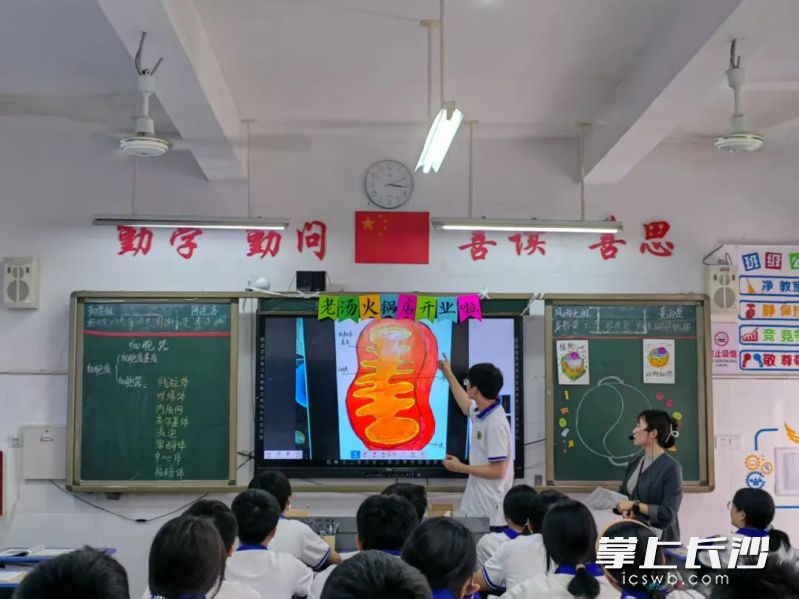 課堂創(chuàng)新實踐讓“151”模式真正落地為可觸摸的教學(xué)變革。
