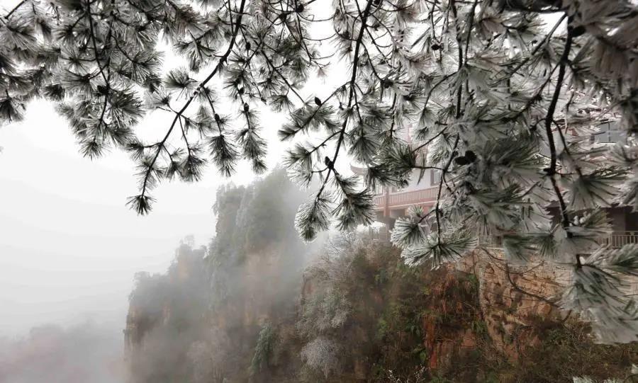 張家界武陵源景區(qū)天子山霧凇景觀 吳勇兵 攝