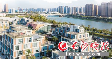 馬欄山視頻文創(chuàng)產(chǎn)業(yè)園初現(xiàn)小企業(yè)“鋪天蓋地”,、大企業(yè)“頂天立地”的發(fā)展格局。鄒麟 攝