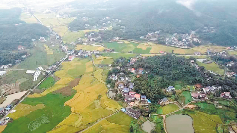 如今的繁榮村,，山青水秀，一片生機(jī)勃勃,?！　》睒s村供圖