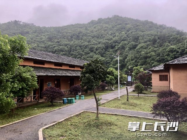 生態(tài)農(nóng)莊已成為桃源村村集體經(jīng)濟(jì)的一個(gè)發(fā)力點(diǎn),。長(zhǎng)沙晚報(bào)全媒體記者 顏開(kāi)云 攝