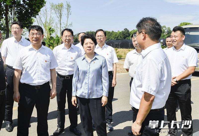 會前,，吳桂英深入煤炭壩鎮(zhèn)調(diào)研產(chǎn)業(yè)轉(zhuǎn)型,、文旅融合、美麗鄉(xiāng)村建設(shè)和采煤沉陷區(qū)綜合治理等工作。長沙晚報全媒體記者 余劭劼 攝