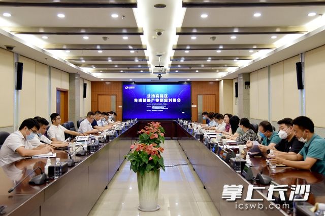 8月20日,，長沙高新區(qū)舉行先進儲能產(chǎn)業(yè)供需對接會。