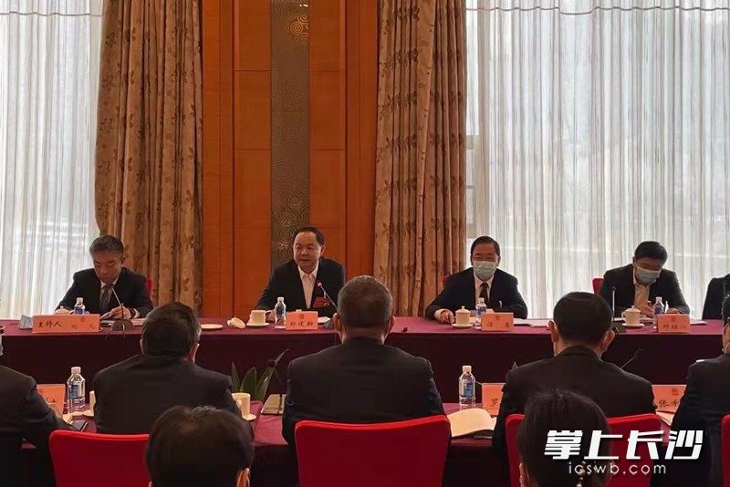 鄭建新參加岳麓區(qū)代表團(tuán)審議