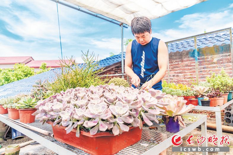 五神村的“童馨花園”如今成了湘贛邊的網(wǎng)紅打卡地。均為長(zhǎng)沙晚報(bào)全媒體記者 陳飛 攝
