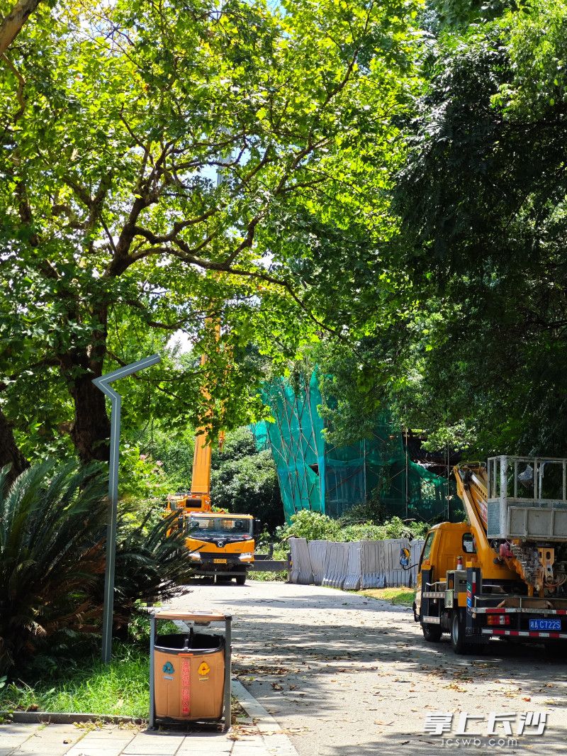 湖南烈士公園中,，大型機(jī)械在作業(yè),。