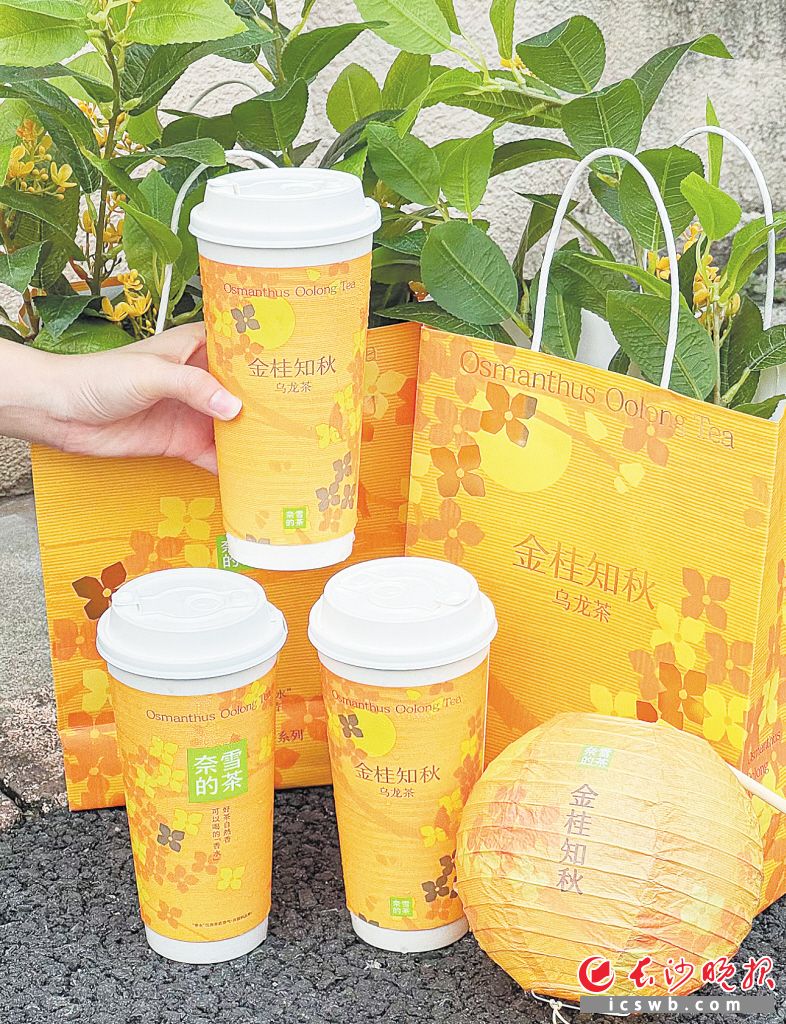 Photo by Fan Honghuan from Changsha Evening News.