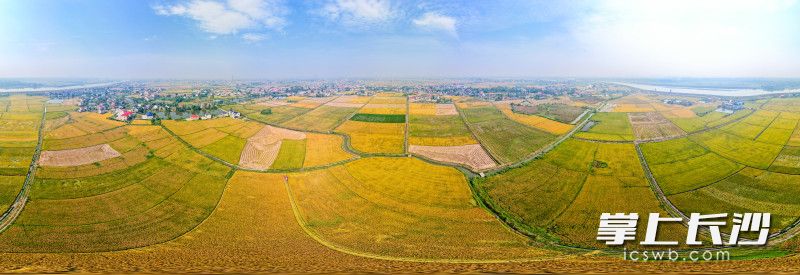 Photo by Wang Zhiyong, Liu Xiaomin, He Wenrui from Changsha Evening News.